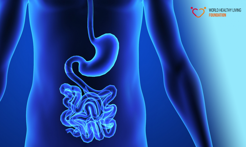 How to approach digestive health and why doesn't every gut protocol work?