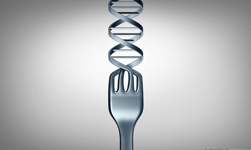 Hat die Ernährung einen Einfluss auf Ihre DNA?