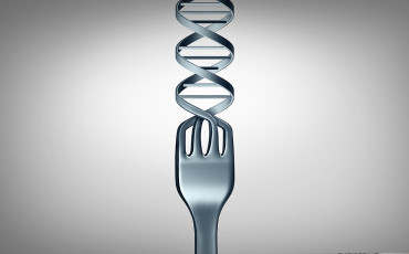 Heeft voeding invloed op je DNA?